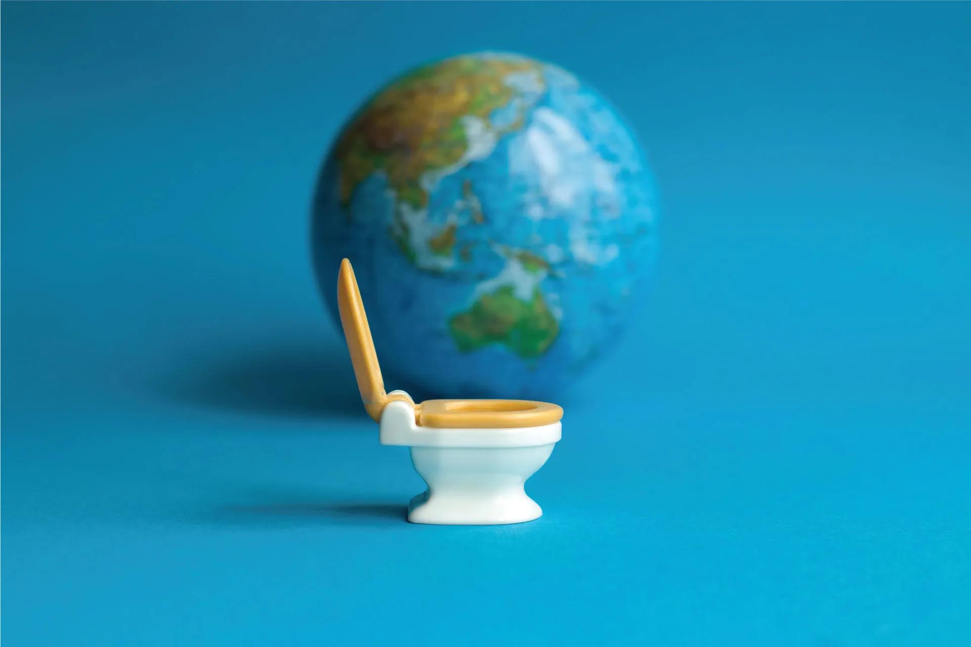 जागतिक शौचालय दिन: आपण एका दिवसात किती वेळा मलविसर्जन करावे?