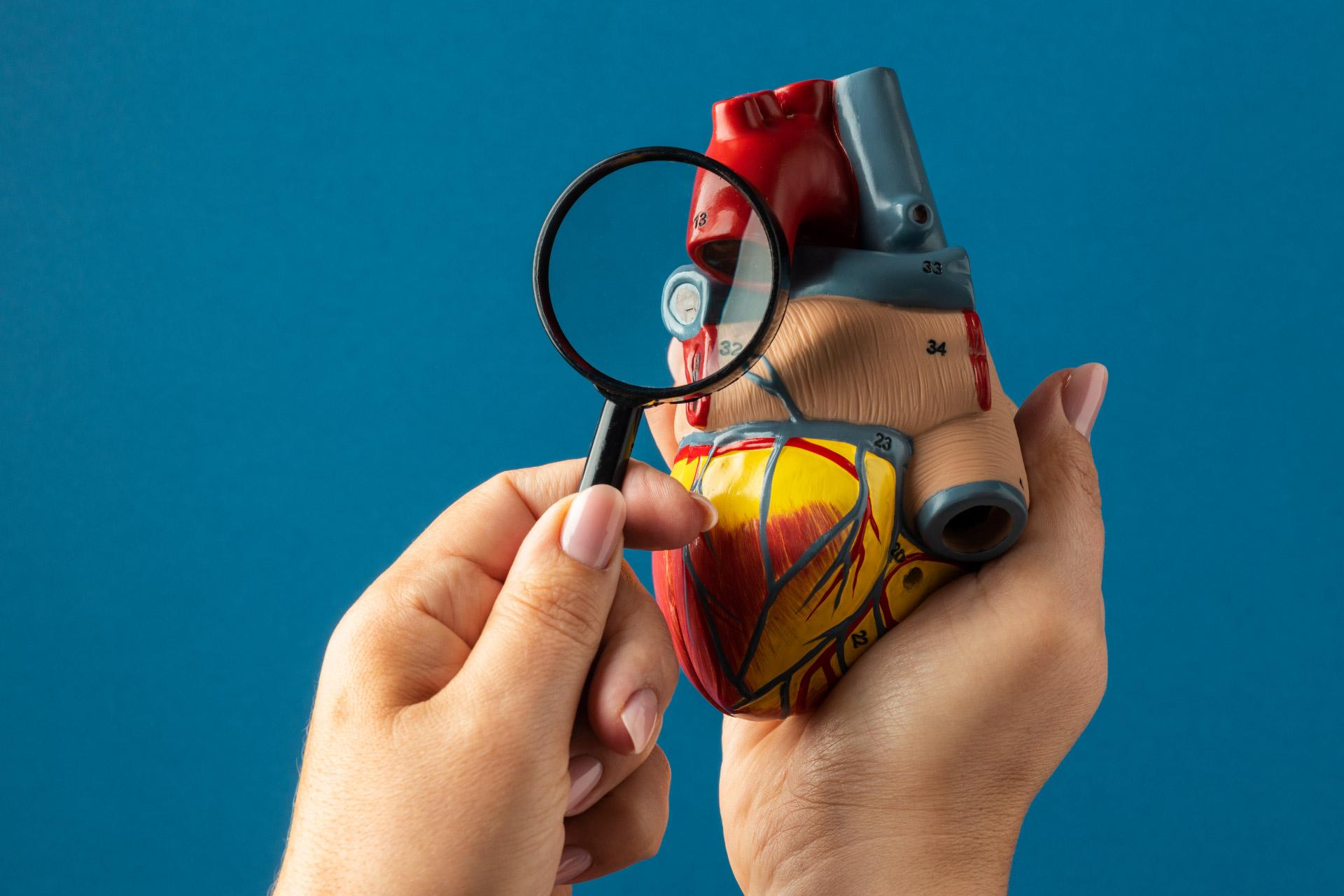 टीएवीआर तक क्रांतिकारी पहुंच: बजाज फाइनेंस आसान ईएमआई के साथ हृदय संबंधी सर्जरी में बदलाव ला रहा है