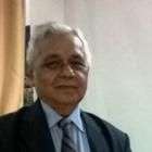 Dr. Radhey S Tripathi