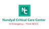 Nandyal Critical Care Center logo