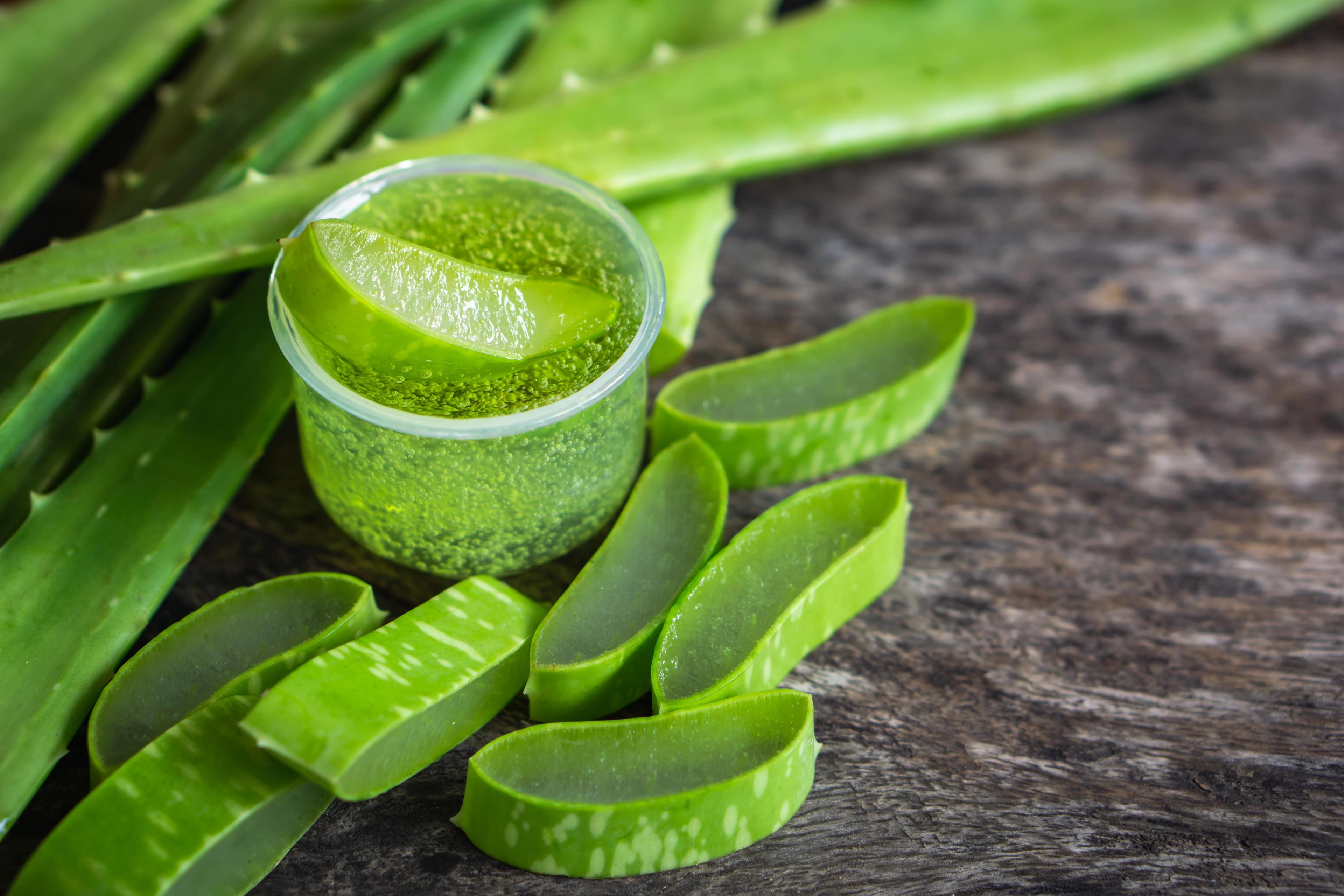 What are The Amazing Aloe Vera Benefits and Uses for Health?
