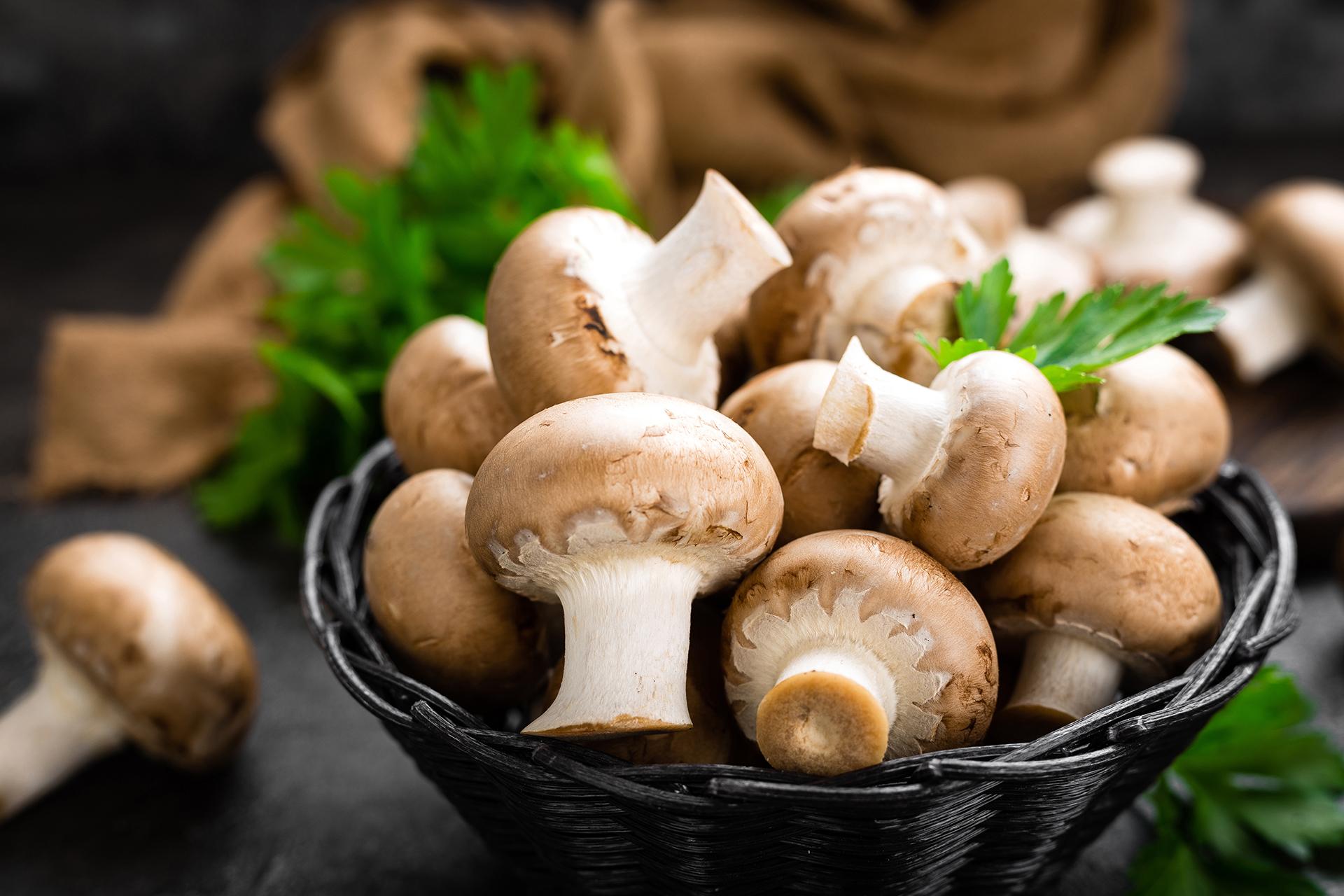 Mushrooms: Nutritional Value, Benefits and Healthy Recipes