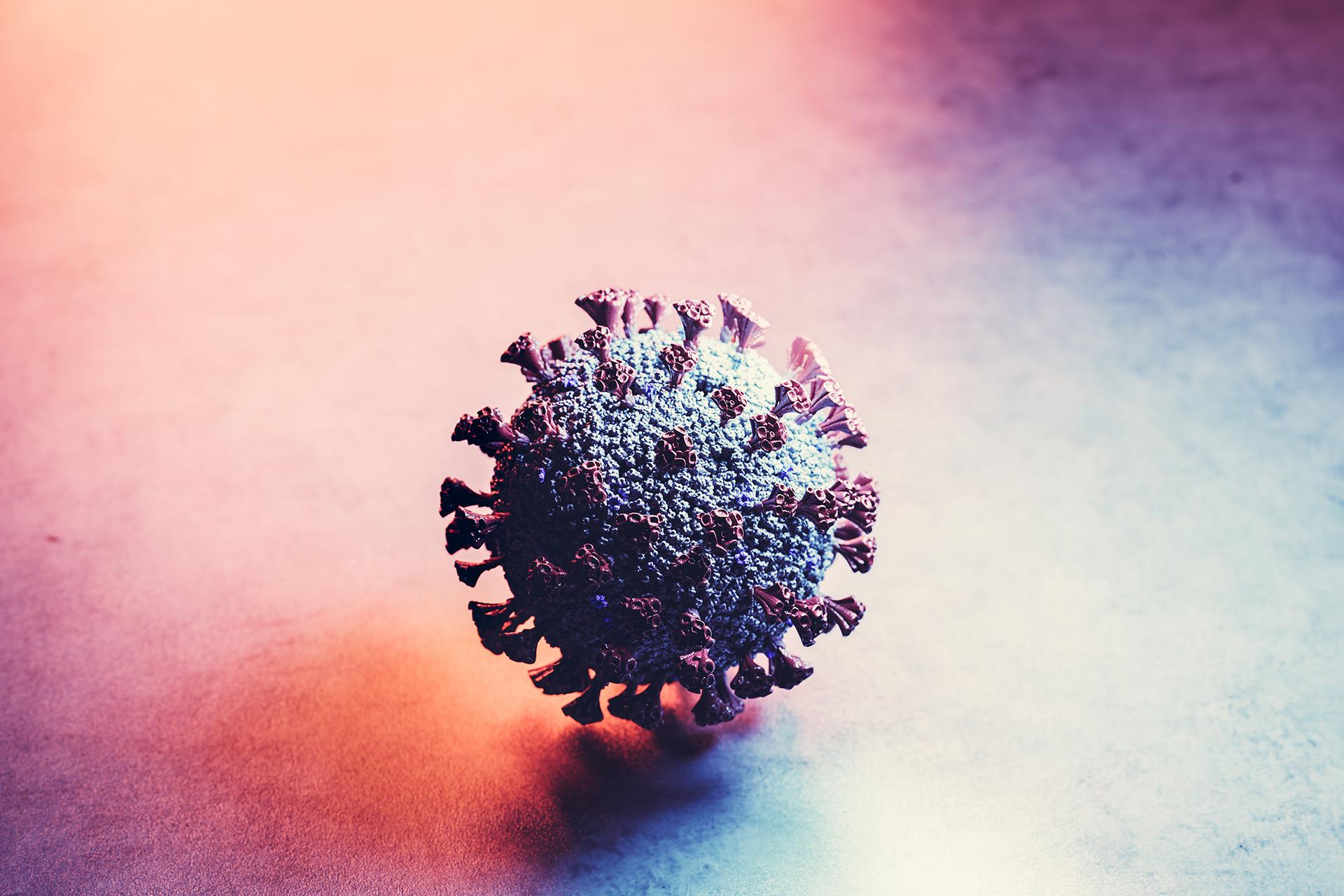 Omicron Virus: All That You Need to Know About this New COVID-19 Variant
