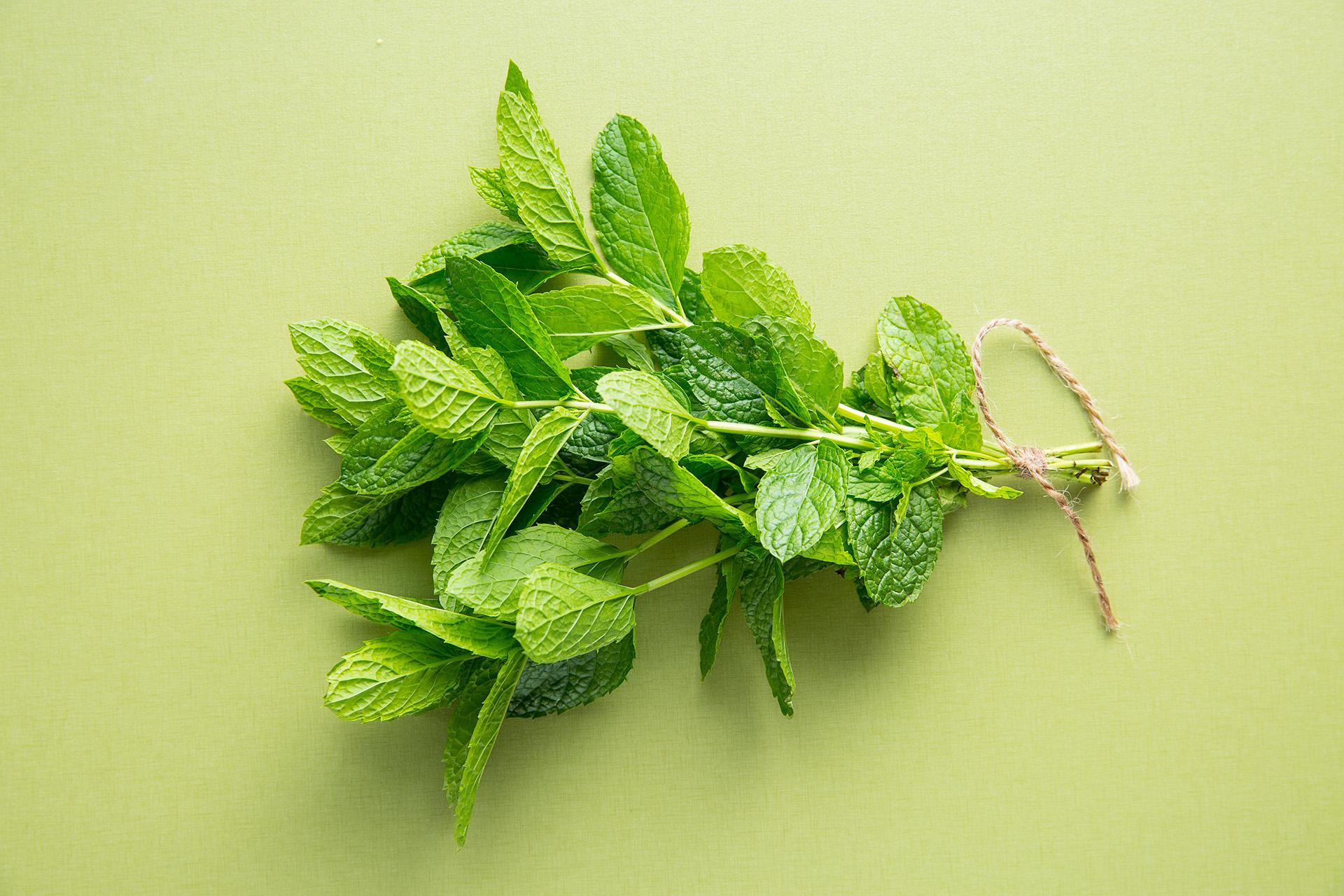11 Health Benefits of Mint Leaves For The Summer