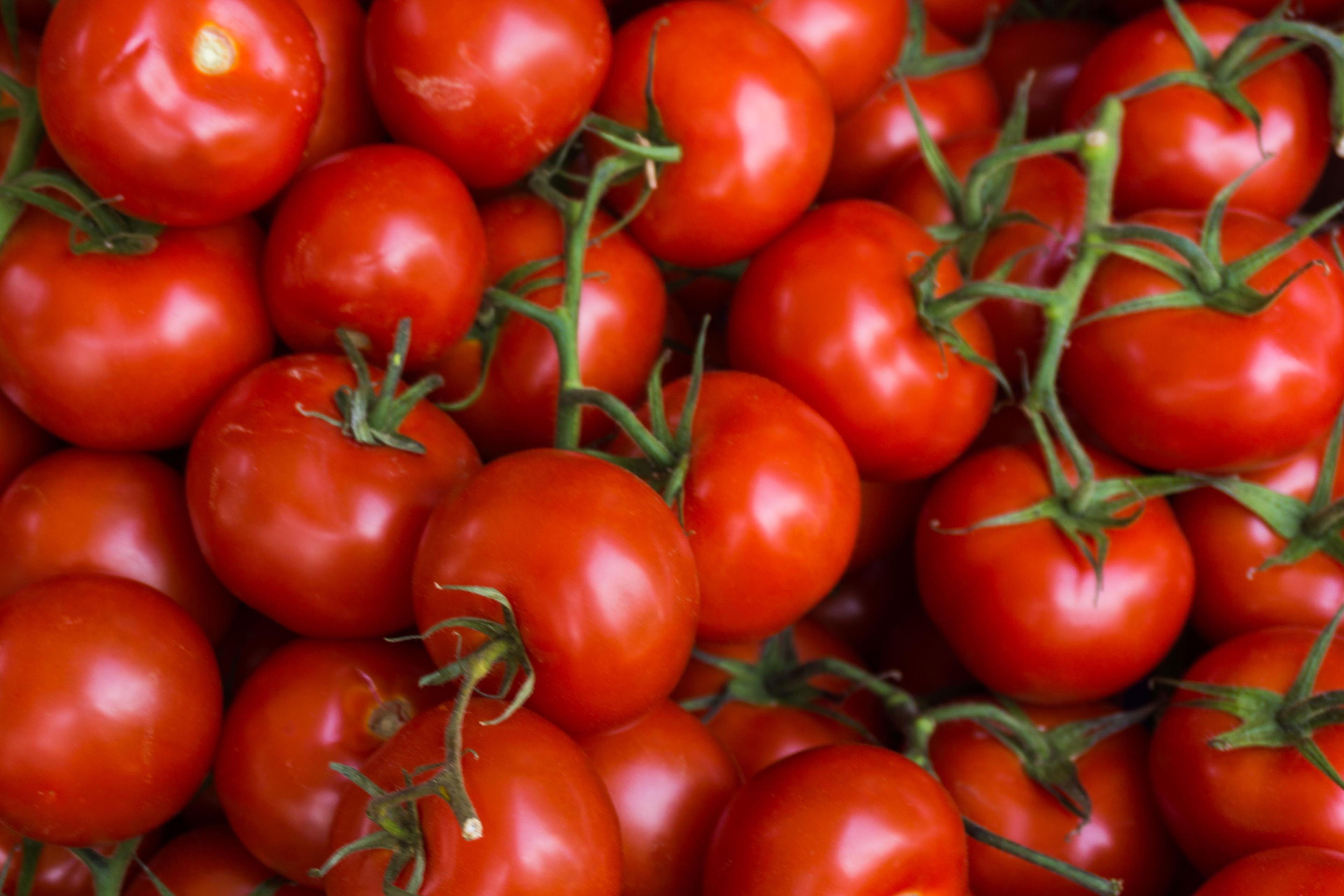 Tomatoes’ Benefits: 5 Healthy Facts for You to Know