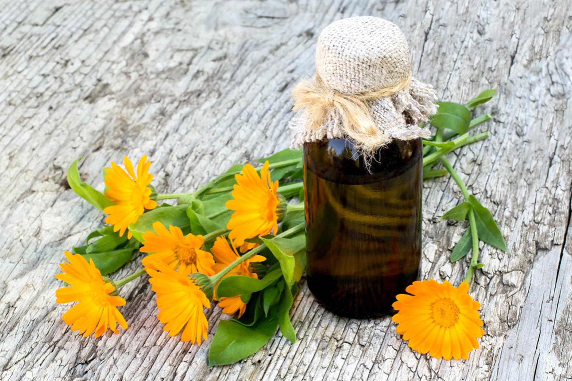 What is Calendula: Health Benefits, Side Effects, Dosage