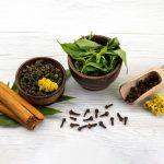 Ayurveda Autumn Diet: Ayurvedic Tips to Stay Fit and Healthy