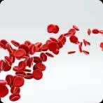 Blood Cancer: Early Symptoms, Causes, Stages, Diagnosis