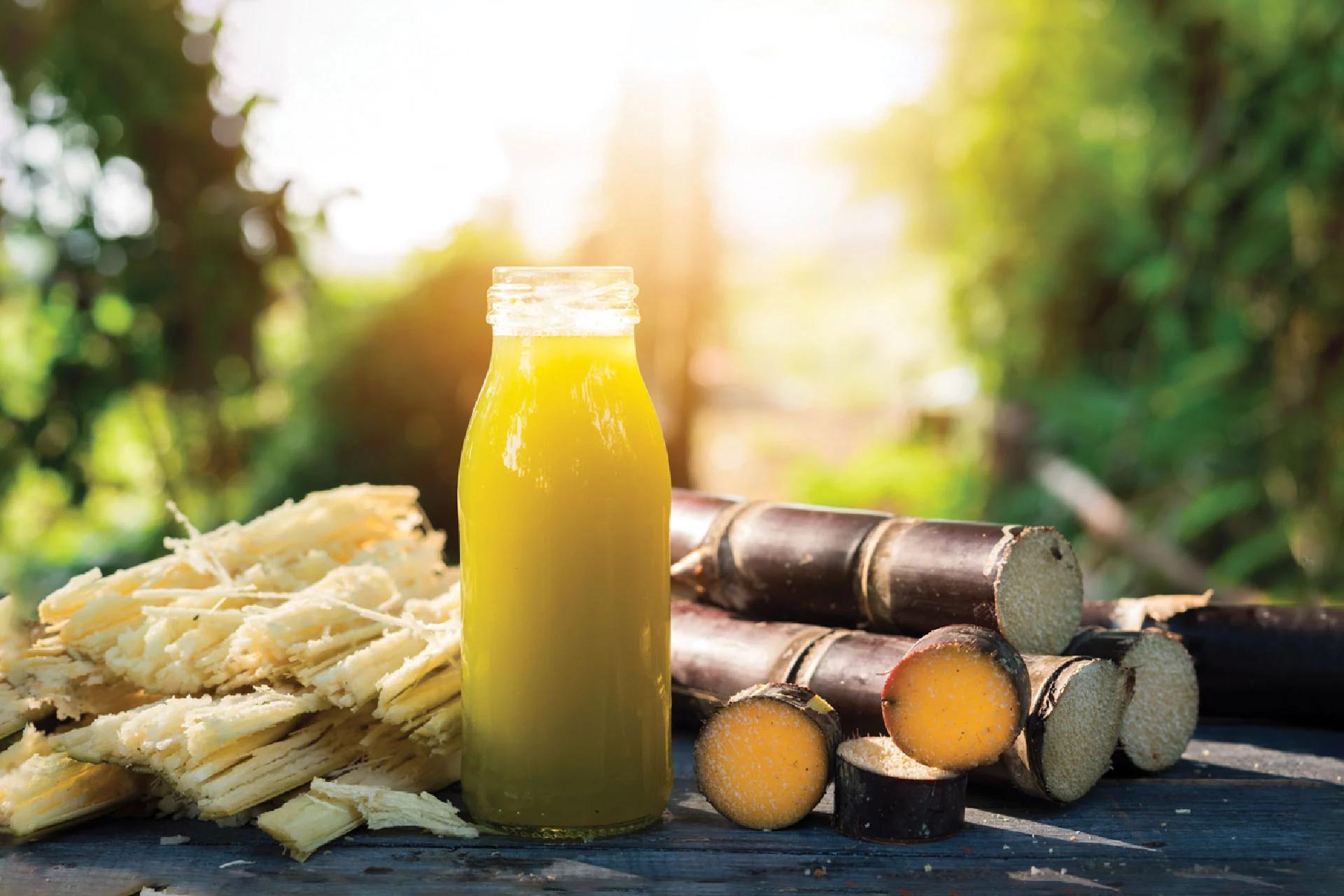 Sugarcane Juice Benefits and More: What Makes it Special?