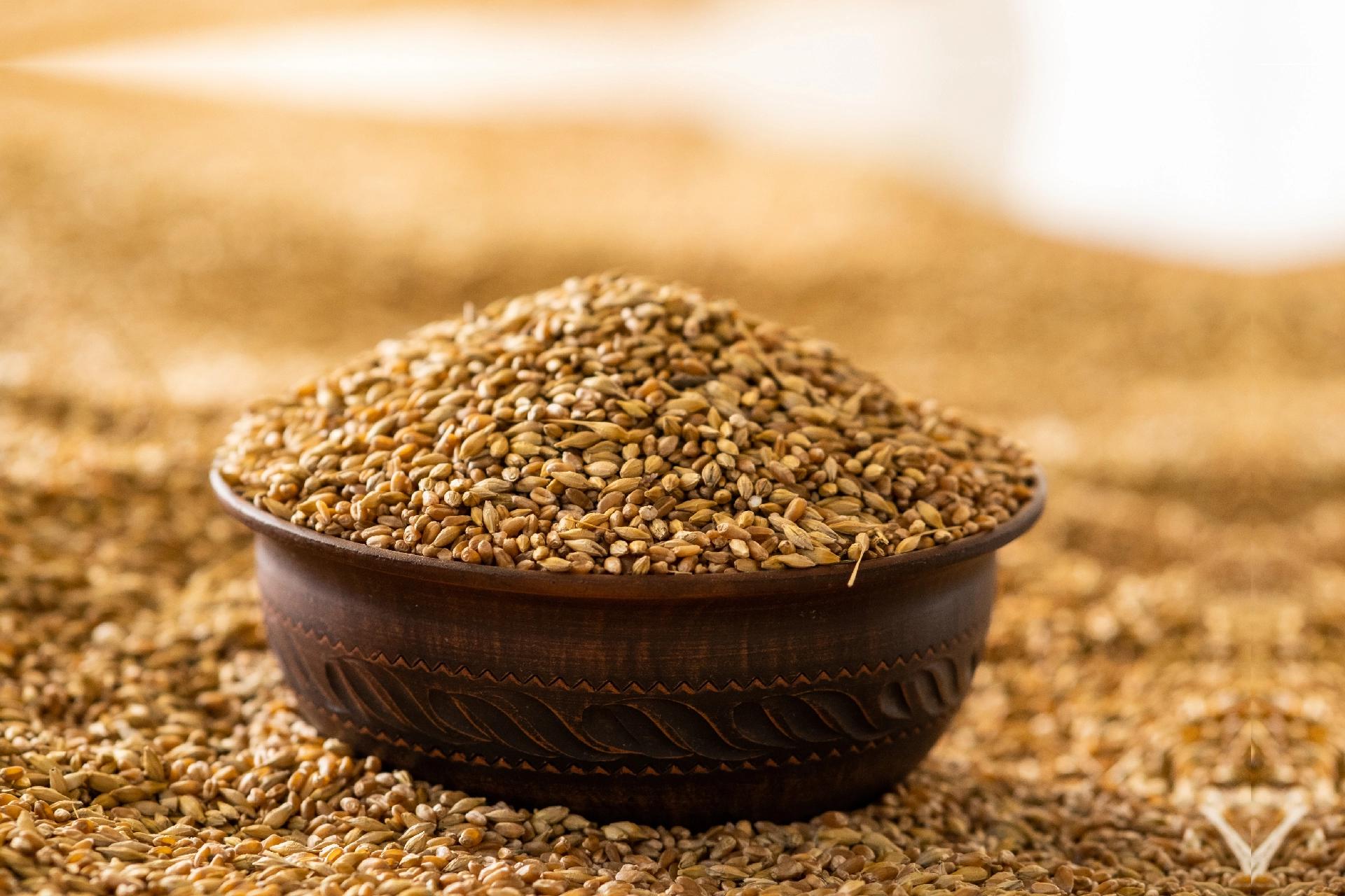 Top 10 Barley Benefits: Here is What you Need to Know