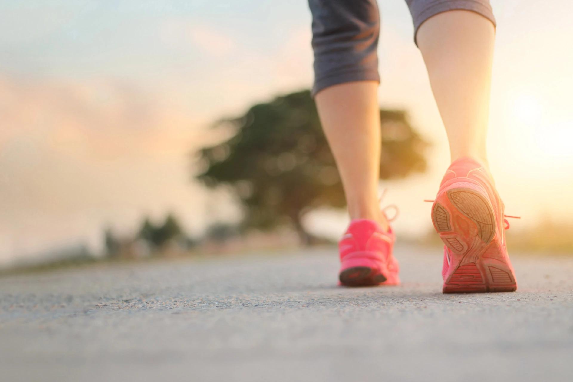 How to Make the Most of Your Walk: 7 Top Tips